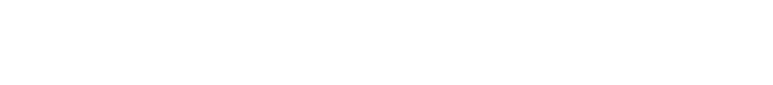 N.Iパートナーズ